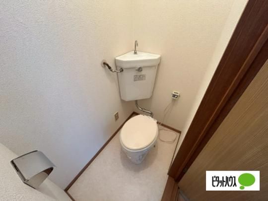 �y���̑��z�@�g�C��