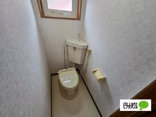 �y���̑��z�@�g�C��