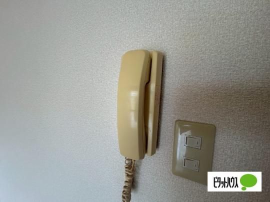 �y���̑��z�@�Z�L�����e�B