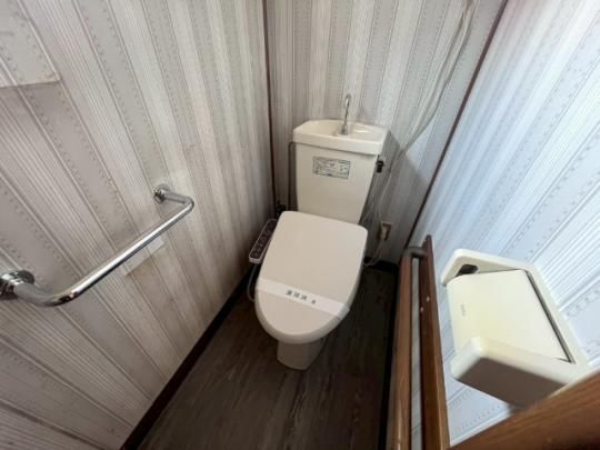 �y���̑��z�@�g�C��