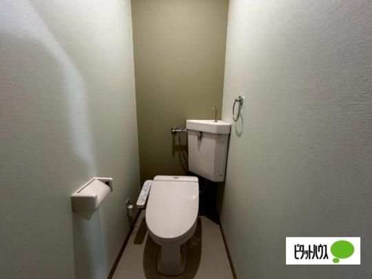 �y���̑��z�@�g�C��