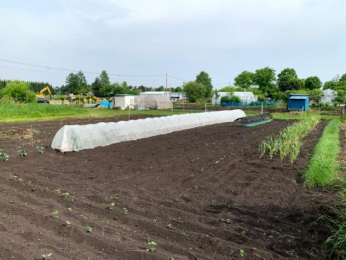 大空小学校一覧 ピタットハウスfc丸正池田